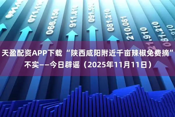 天盈配资APP下载 “陕西咸阳附近千亩辣椒免费摘”不实——今日辟谣（2025年11月11日）