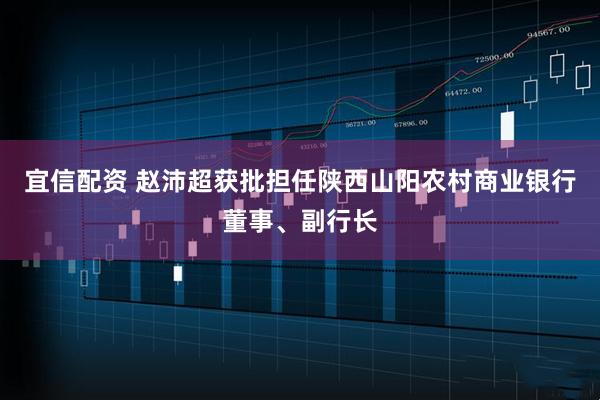 宜信配资 赵沛超获批担任陕西山阳农村商业银行董事、副行长