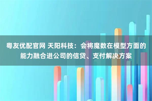 粤友优配官网 天阳科技：会将魔数在模型方面的能力融合进公司的信贷、支付解决方案